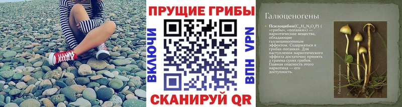 KRAKEN зеркало  Лабинск  Псилоцибиновые грибы прущие грибы 